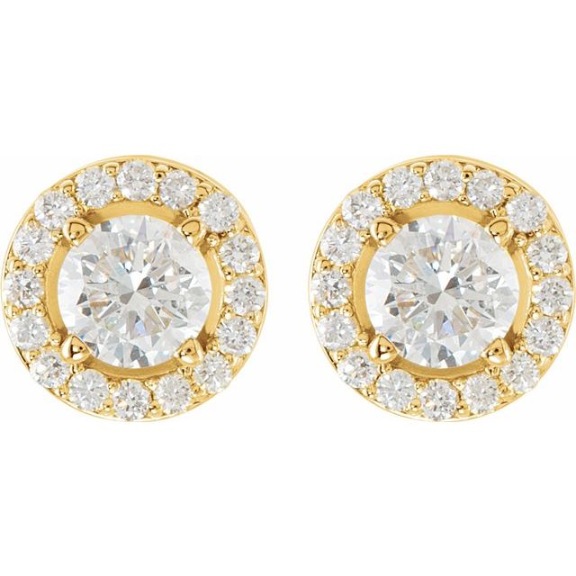 14K Yellow 1 1/2 CTW Lab-Grown Diamond Halo-Style Earrings